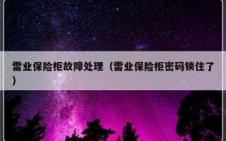 雷业保险柜故障处理（雷业保险柜密码锁住了）