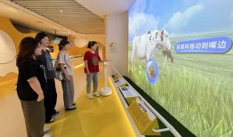 光明乳业探索文化新边界：老字号如何让“文化+品牌”同频共振|界面新闻