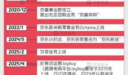 商业头条No.71 | 京东外卖，围魏救赵|界面新闻 · 科技