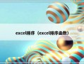 excel排序（excel排序函数）