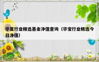 华夏行业精选基金净值查询（华宝行业精选今日净值）