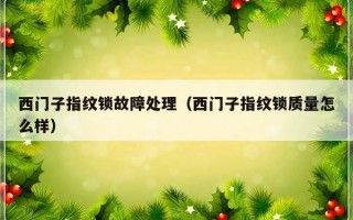 西门子指纹锁故障处理（西门子指纹锁质量怎么样）