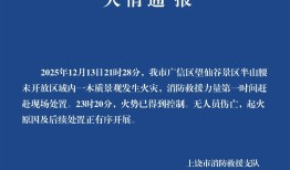 江西上饶通报：望仙谷景区一木质景观发生火灾，火势已控制|界面新闻 · 快讯
