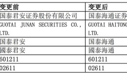 国泰海通证券换股新增股份3月17日上市，新公司董事人选已出炉，业务合并进行中|界面新闻