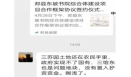 河南郏县“苏东坡文化”投资项目停滞陷争议，发起人“外籍院士”是何身份？|界面新闻 · 中国