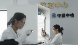 中检“入仓全检”，电商平台铺设“信任”新基建|界面新闻