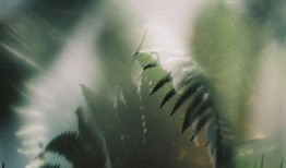 趣味台灯看起来像话筒，乐高推出盆栽积木｜是日美好事物|界面新闻 · 时尚