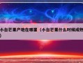 小台芒果产地在哪里（小台芒果什么时候成熟）