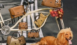 古良吉吉“棒球家族”迎新成员，CHIIKAWA拉面店开到香港｜是日美好事物|界面新闻 · 时尚