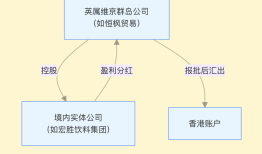宗庆后家族“信托案”中的18亿美元从何而来？|界面新闻