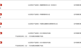 为充电宝提供电池电芯的安普瑞斯是家什么样的公司？|界面新闻 · 科技