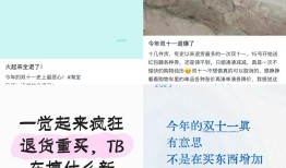 双十一多个直播间遭遇退货潮？多方回应|界面新闻 · 科技