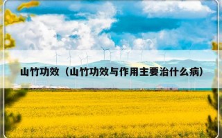 山竹功效（山竹功效与作用主要治什么病）