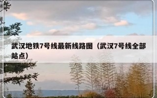 武汉地铁7号线最新线路图（武汉7号线全部站点）