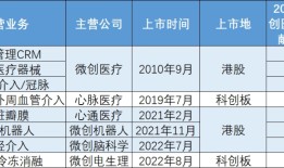 上海国资战投入局，微创医疗迎来拐点了吗？|界面新闻
