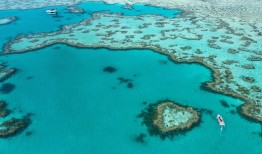 【专访】澳大利亚旅游局全球首席营销官Susan Coghill：与游客建立情感链接，创造终生难忘的旅行|界面新闻 · 旅行