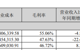 再次高溢价“入手”芯片公司，探路者面临四大风险|界面新闻 · 证券
