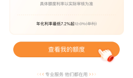 【深度】年利率440%、60多个马甲......助贷新规之后，月系融担产品浮出水面|界面新闻