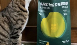 猫粮猫砂卷到尽头，高爷家将被上市公司收购|界面新闻