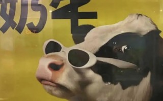 认养一头牛广告被质疑讽刺打工人，公司回应|界面新闻