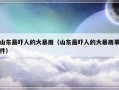 山东最吓人的大暴雨（山东最吓人的大暴雨事件）