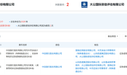 涉胜通集团600亿造假案，大公国际等中介机构再遭起诉追责，评级市场已生变|界面新闻