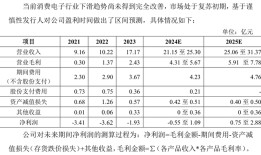 IPO雷达｜常年未盈利企业卷土重来，撤回4个月飞骧科技再启辅导备案|界面新闻 · 证券