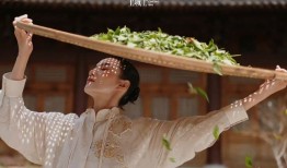 筹备上市的八马茶业发现熟客不够用了|界面新闻