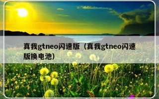 真我gtneo闪速版（真我gtneo闪速版换电池）