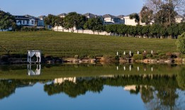 宝格丽酒店及度假村布局阿布扎比，国泰货运护送十尊兵马俑等文物赴澳参展 | 一周旅行指南|界面新闻 · 旅行