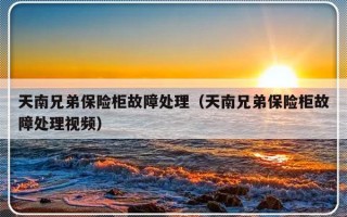 天南兄弟保险柜故障处理（天南兄弟保险柜故障处理视频）