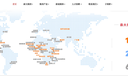 “非洲纸尿裤大王”乐舒适继续大卖，但毛利率变差|界面新闻