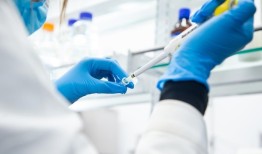 华熙生物：短期波动下的长期价值锚点|界面新闻