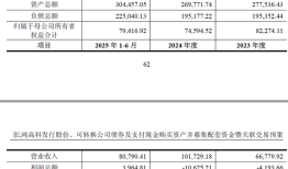 财说| 一桩关联交易能否成为长鸿高科的救命稻草？|界面新闻 · 证券