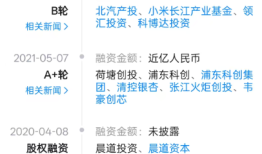 财说| 帝奥微收购亏损公司，是技术卡位还是 “接盘”？|界面新闻 · 证券