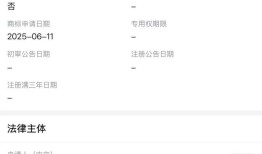 为打击盗版，泡泡玛特抢注“LAFUFU”商标|界面新闻