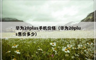 华为20plus手机价格（华为20plus售价多少）