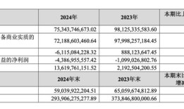 金地集团2024年净利润亏损61亿，顺利渡过偿债高峰|界面新闻 · 地产