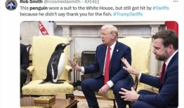 美国商务部长：一个都不能少，“企鹅岛”也必须征关税|界面新闻 · 天下