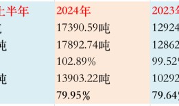 IPO雷达 | 家族控股95%，电工膜龙头嘉德利供应链海外依存度高|界面新闻 · 证券