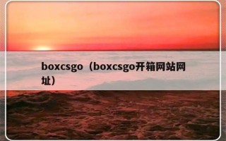 boxcsgo（boxcsgo开箱网站网址）