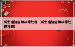 威士迪智能锁故障处理（威士迪智能锁故障处理视频）