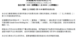 收购加拿大鹅？安踏和波司登先后否认|界面新闻