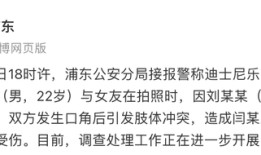 上海迪士尼有游客打架，警方通报|界面新闻 · 快讯