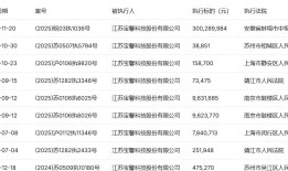 更换审计所遭独董质疑，宝馨科技年报关口过得去吗？|界面新闻 · 证券