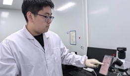 小试剂“勇闯”全球大市场！丹娜生物底气何在？|界面新闻