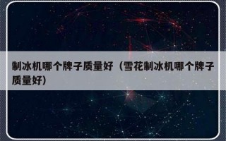 制冰机哪个牌子质量好（雪花制冰机哪个牌子质量好）