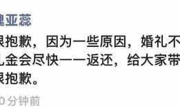 河南鲁山县一高中教师于婚礼当日跳楼自杀，知情者：前一日曾宣布取消婚礼|界面新闻 · 中国