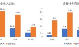 财说| 卤味双雄走到分岔路口|界面新闻 · 证券