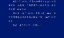四川屏山警方：68岁男子醉酒后因琐事持刀将堂姐夫砍伤致死，被抓获|界面新闻 · 快讯